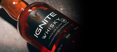 Ignite India