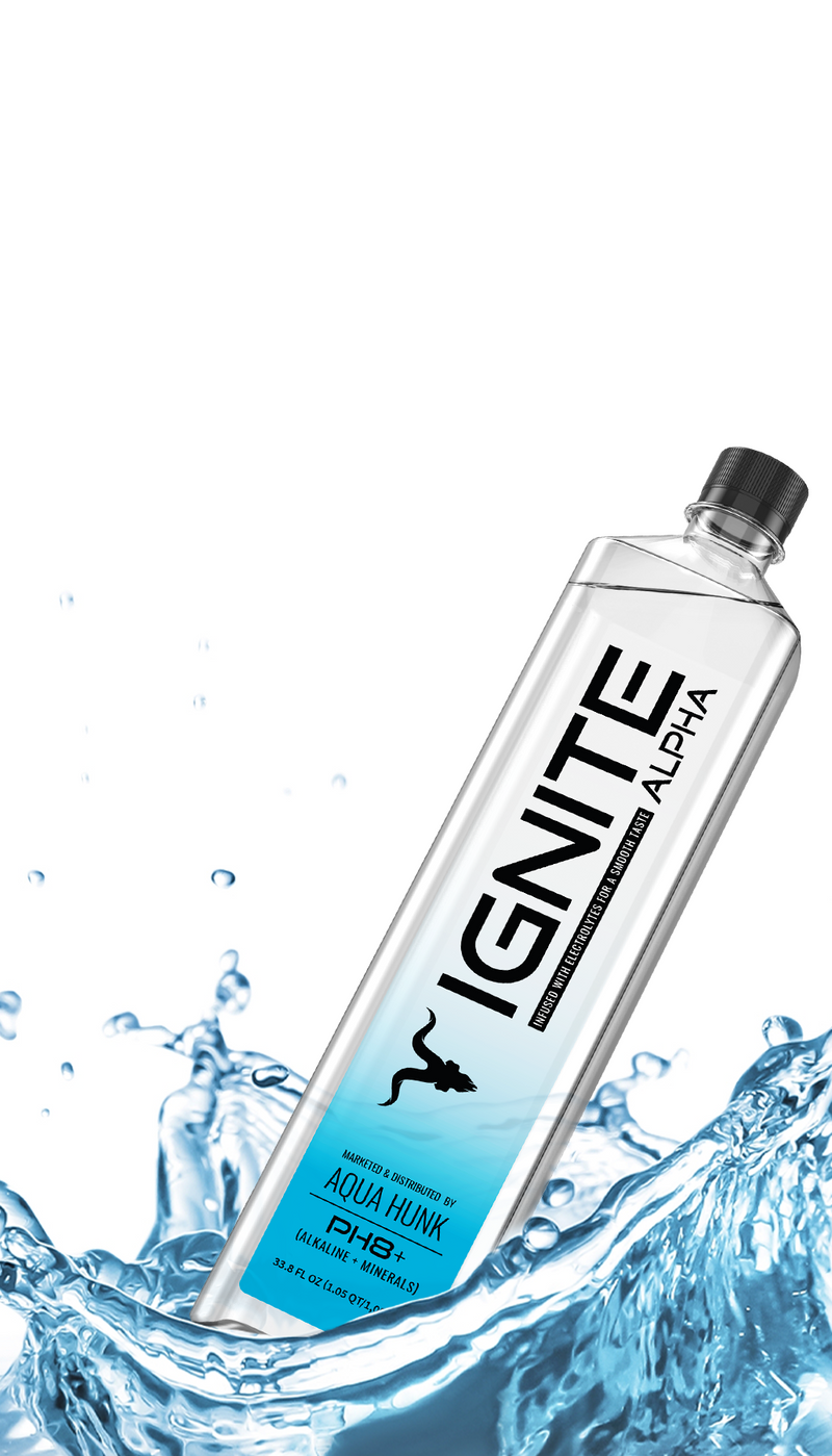 Ignite India